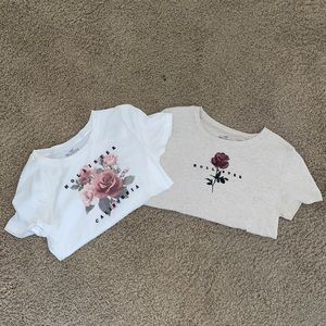 Hollister Tees